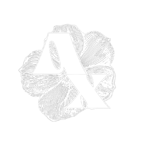 Axody logo